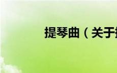 提琴曲（关于提琴曲的介绍）
