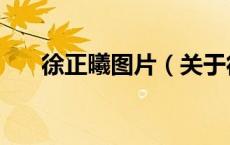 徐正曦图片（关于徐正曦图片的介绍）