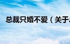总裁只婚不爱（关于总裁只婚不爱的介绍）