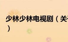 少林少林电视剧（关于少林少林电视剧的介绍）