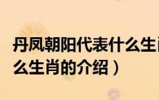 丹凤朝阳代表什么生肖（关于丹凤朝阳代表什么生肖的介绍）