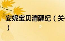 安妮宝贝清醒纪（关于安妮宝贝清醒纪的介绍）