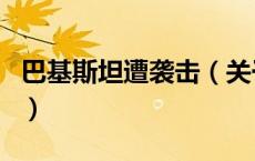 巴基斯坦遭袭击（关于巴基斯坦遭袭击的介绍）