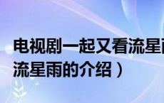 电视剧一起又看流星雨（关于电视剧一起又看流星雨的介绍）