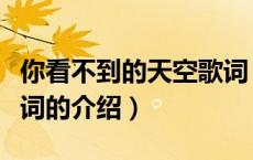 你看不到的天空歌词（关于你看不到的天空歌词的介绍）