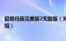 超级玛丽完美版2无敌版（关于超级玛丽完美版2无敌版的介绍）
