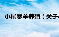 小尾寒羊养殖（关于小尾寒羊养殖的介绍）
