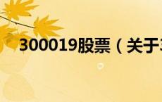 300019股票（关于300019股票的介绍）
