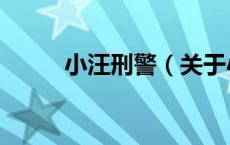 小汪刑警（关于小汪刑警的介绍）