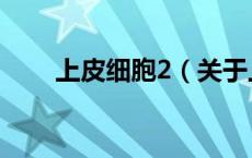 上皮细胞2（关于上皮细胞2的介绍）