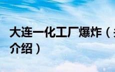大连一化工厂爆炸（关于大连一化工厂爆炸的介绍）