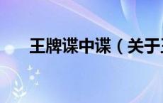 王牌谍中谍（关于王牌谍中谍的介绍）