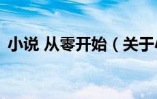 小说 从零开始（关于小说 从零开始的介绍）