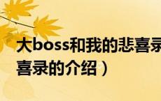 大boss和我的悲喜录（关于大boss和我的悲喜录的介绍）