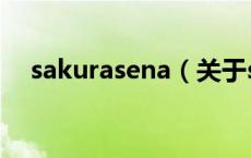 sakurasena（关于sakurasena的介绍）