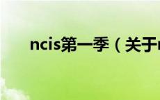 ncis第一季（关于ncis第一季的介绍）