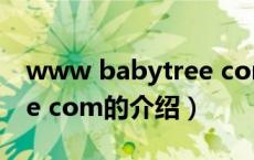 www babytree com（关于www babytree com的介绍）