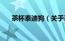 茶杯泰迪狗（关于茶杯泰迪狗的介绍）