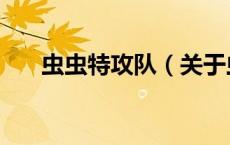 虫虫特攻队（关于虫虫特攻队的介绍）