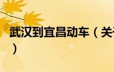 武汉到宜昌动车（关于武汉到宜昌动车的介绍）
