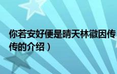 你若安好便是晴天林徽因传（关于你若安好便是晴天林徽因传的介绍）