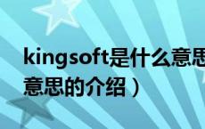 kingsoft是什么意思（关于kingsoft是什么意思的介绍）