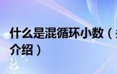 什么是混循环小数（关于什么是混循环小数的介绍）