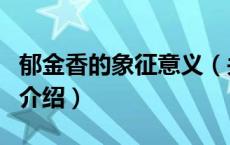 郁金香的象征意义（关于郁金香的象征意义的介绍）