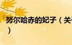 努尔哈赤的妃子（关于努尔哈赤的妃子的介绍）