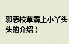 邪恶校草霸上小丫头（关于邪恶校草霸上小丫头的介绍）
