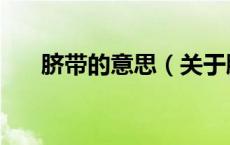 脐带的意思（关于脐带的意思的介绍）