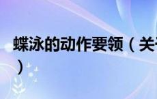 蝶泳的动作要领（关于蝶泳的动作要领的介绍）