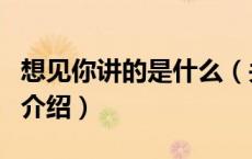 想见你讲的是什么（关于想见你讲的是什么的介绍）