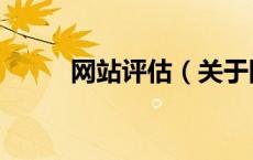 网站评估（关于网站评估的介绍）