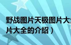 野战图片天极图片大全（关于野战图片天极图片大全的介绍）