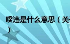 暌违是什么意思（关于暌违是什么意思的介绍）