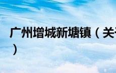 广州增城新塘镇（关于广州增城新塘镇的介绍）