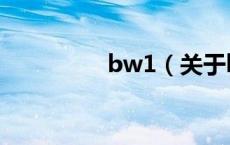 bw1（关于bw1的介绍）
