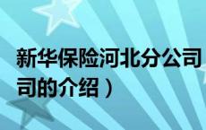 新华保险河北分公司（关于新华保险河北分公司的介绍）