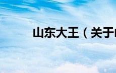 山东大王（关于山东大王的介绍）