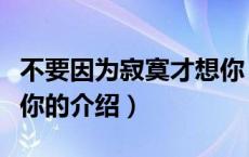 不要因为寂寞才想你（关于不要因为寂寞才想你的介绍）