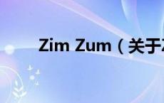 Zim Zum（关于Zim Zum的介绍）