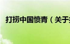 打捞中国愤青（关于打捞中国愤青的介绍）