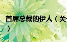 首席总裁的伊人（关于首席总裁的伊人的介绍）