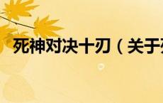 死神对决十刃（关于死神对决十刃的介绍）