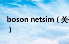boson netsim（关于boson netsim的介绍）