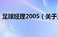 足球经理2005（关于足球经理2005的介绍）