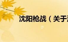 沈阳枪战（关于沈阳枪战的介绍）