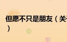 但愿不只是朋友（关于但愿不只是朋友的介绍）