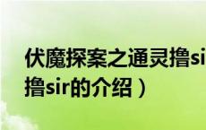 伏魔探案之通灵撸sir（关于伏魔探案之通灵撸sir的介绍）
